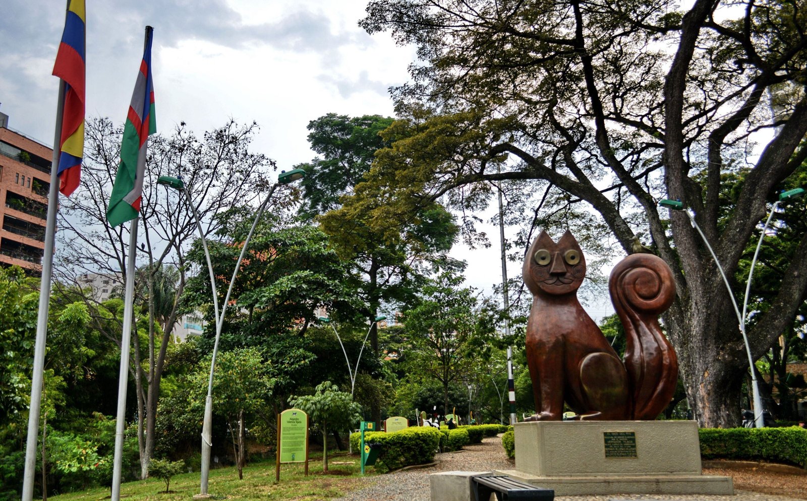 Gato del Río